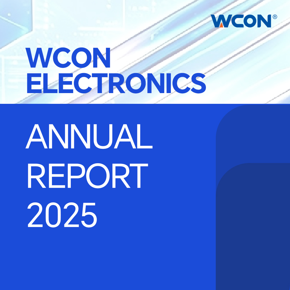 Um Guia Visual do Relatório Anual 2025 da WCON Electronics